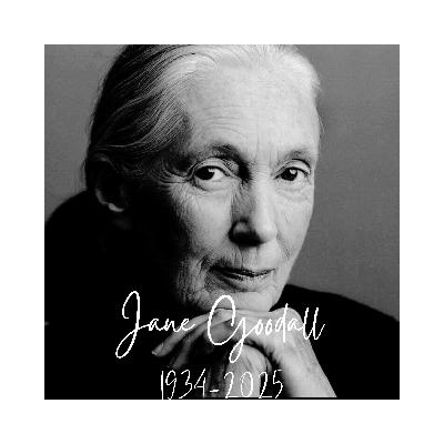 Jane Goodall Jane Goodall