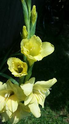 Abortion Diary Entry 163: Hunt, 33 (Bossier City, LA 2015) Abortion Diary Entry 163: Hunt, 33 (Bossier City, LA 2015)