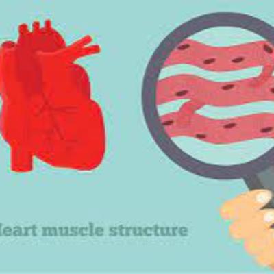 Episode 3: Histologi Dasar Episode 3: Histologi Dasar