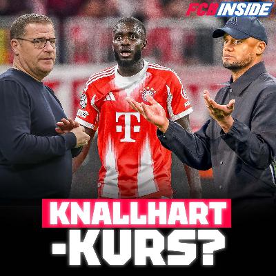Knallhart-Kurs beim FC Bayern: Wird Upamecano zum Opfer? Knallhart-Kurs beim FC Bayern: Wird Upamecano zum Opfer?