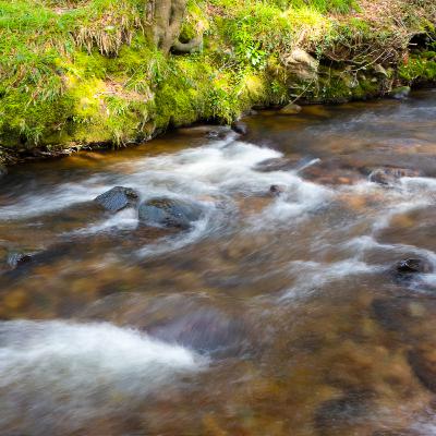 Standing in a stream to photograph on a sunny day in Ireland