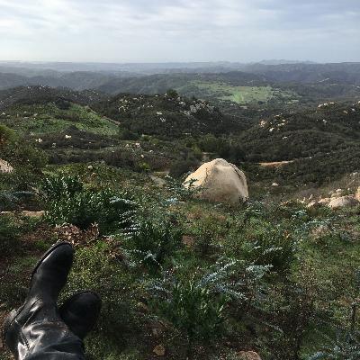 Bergen, bommen en granaten Bergen, bommen en granaten