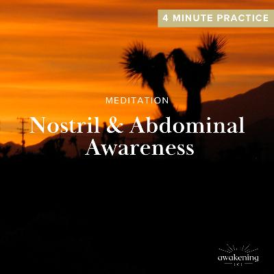 Meditation: Nostril & Abdominal Awareness 4 mins