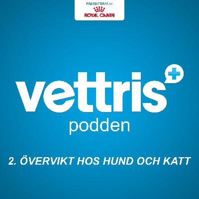 Övervikt hos hund och katt