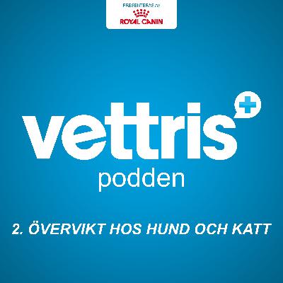 Övervikt hos hund och katt