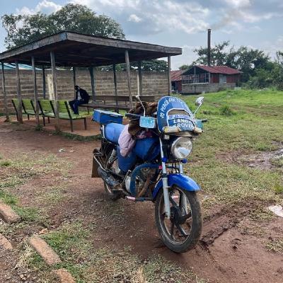 忙しくなってまいりました