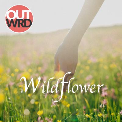 Wildflower | Family Drama Wildflower | Family Drama