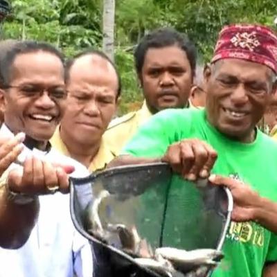 PANEN IKAN NILA SISTEM BIOFLOG DI SEMINARI KISOL
