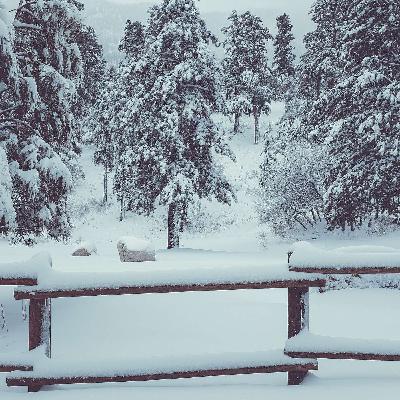 That Christmas Feeling -2