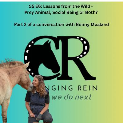 S5 E6: Lessons from the wild: prey animals, social beings or both? Part 2 of a conversation with Bonny Mealand
