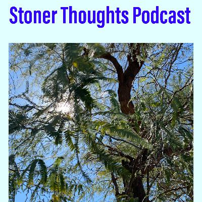 Rock, Coachella, and Stories!