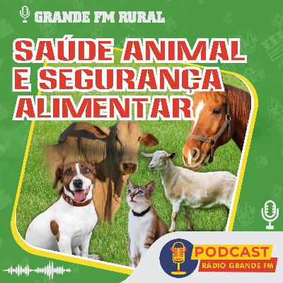 Grande FM Rural - O Impacto da Medicina Veterinária na Qualidade dos Alimentos e no Agronegócio.