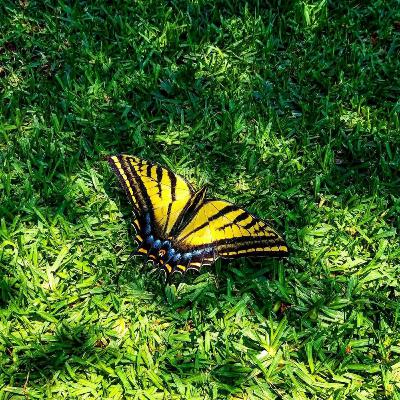 Razonamiento del amor