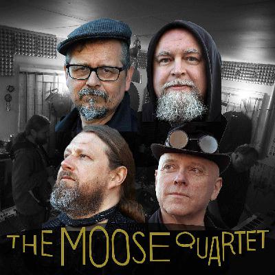 20 The moose quartet