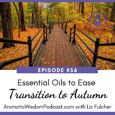 56: Essential Oils to Ease the Transition from Summer into Autumn 56: Essential Oils to Ease the Transition from Summer into Autumn