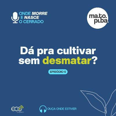 #053 - Onde morre e nasce o Cerrado | Dá pra cultivar sem desmatar?