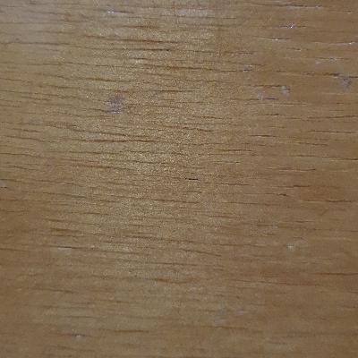 Dendrologia- 2°Avaliação