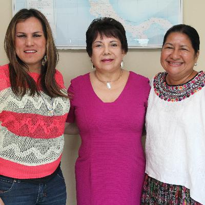 CEPPS’ Local Partners in Guatemala Discuss 2015 Elections