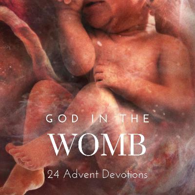 God in the Womb: Day 8 - Single-Cell Jesus God in the Womb: Day 8 - Single-Cell Jesus