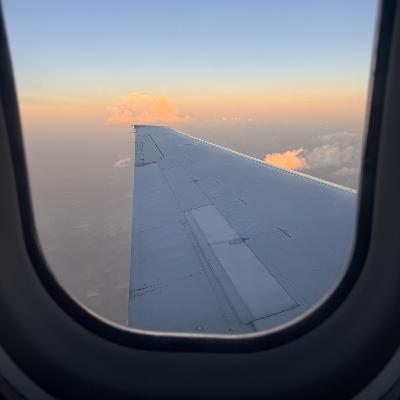 Jam Thoughts: Adventures in the Field Jam Thoughts: Adventures in the Field