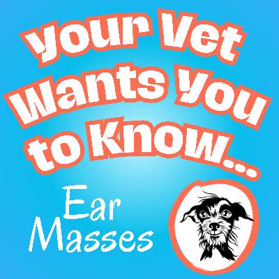 079 Ear Masses in Dogs and Cats: Causes, Diagnosis, and Treatment