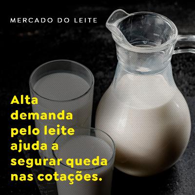 Alta demanda pelo leite ajuda a segurar queda nas cotações
