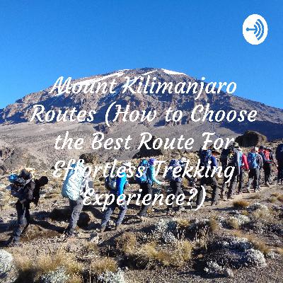 How to Choose the Best Route For Effortless Kilimanjaro Trekking Experience? (Jerry Tanzania Tours)