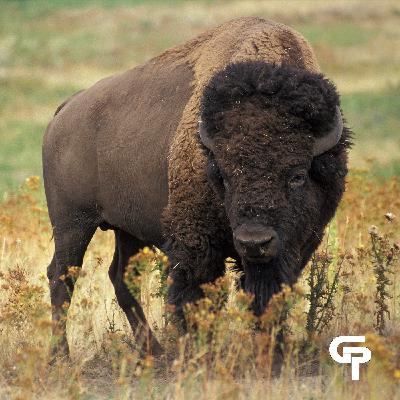 DJ Booth – Tatanka