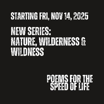 Series 5 Trailer: Nature, Wilderness, Wildness