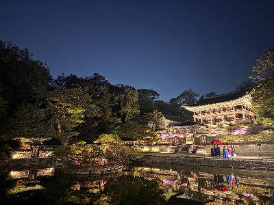 Where kings once wandered: A moonlight tour of Changdeok Palace Where kings once wandered: A moonlight tour of Changdeok Palace