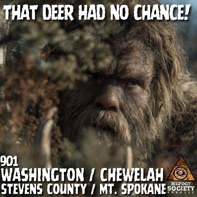 He Twisted the Antlers — And That’s When I Saw His Face! | Washington