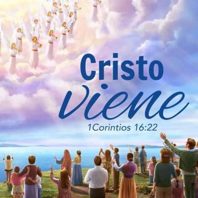 Abril / 29 / 2020