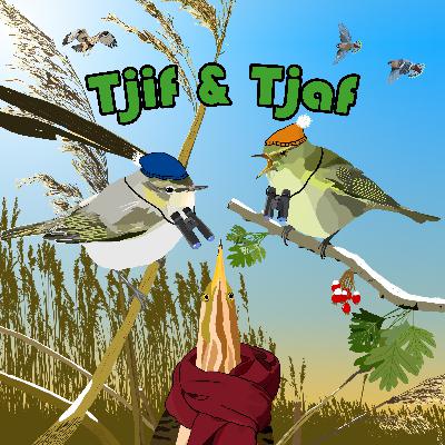 S07.E08 Seizoensfinale: MOST WANTED!