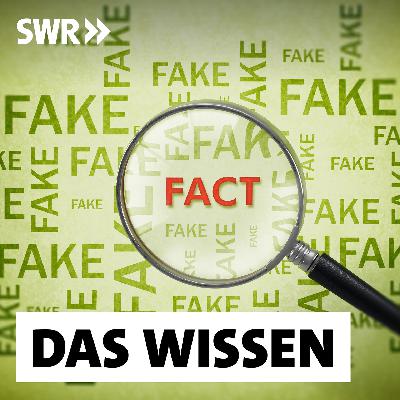 Fakt oder Fake – Wie wir Desinformation erkennen können