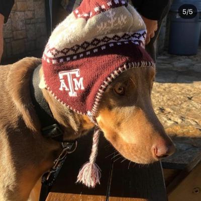 Bonus #3. The Ethan McChristian Youtube Reaction Channel Reaction Podcast (w/ Ethan McChristian & Michael Gerry)