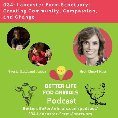 034: Lancaster Farm Sanctuary: Creating Community, Compassion, and Change 034: Lancaster Farm Sanctuary: Creating Community, Compassion, and Change