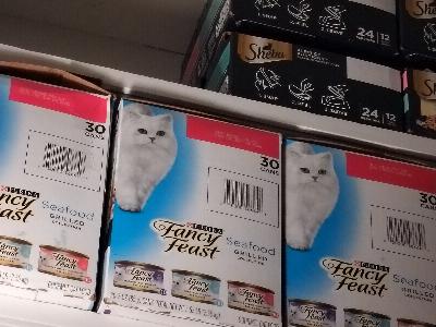 ASMR Whispering: A Rattle, Some Water, and a Cat's Meal