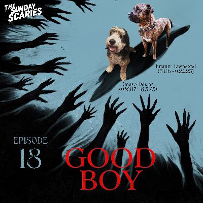 Good Boy (2025) Good Boy (2025)