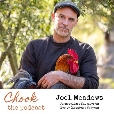 Permaculture Educator Joel Meadows on How to Dispatch a Chicken