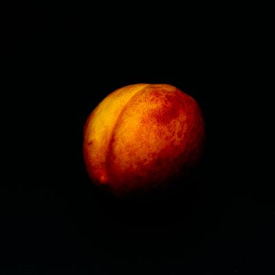 In re vagina: God got it wrong? So the Patriarchy Fixed Them.