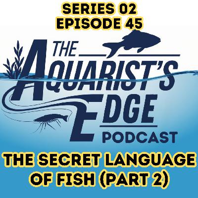 The Secret Language of Fish (Part 2): How to Build Trust and Communicate with Your Fish The Secret Language of Fish (Part 2): How to Build Trust and Communicate with Your Fish