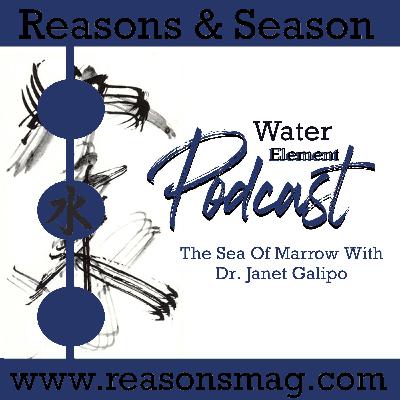 The Sea Of Marrow The Sea Of Marrow