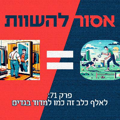 פרק 71: לאלף כלב זה כמו למדוד בגדים