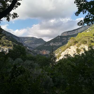 Dialogue avec le vent dans les arbres 21/02/21 Dialogue avec le vent dans les arbres 21/02/21