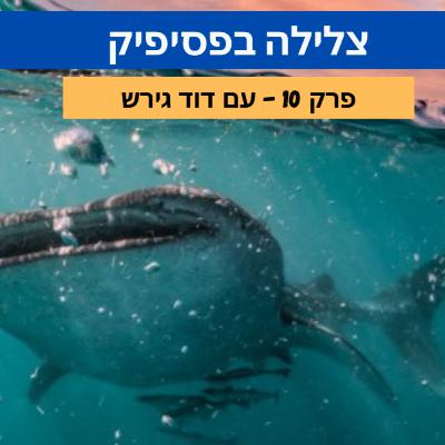 צלילה בפסיפיק צלילה בפסיפיק