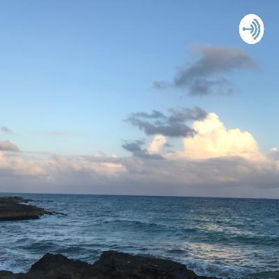 Wakelet en educación