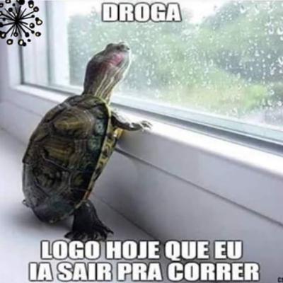 #5 – Caminhada e Exercícios