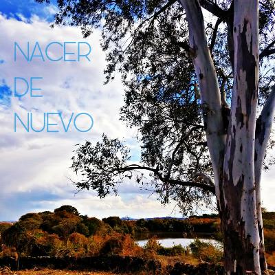 Un Breve 01