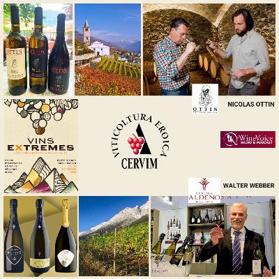 Le Terre del Vino: VINS EXTREMES - Val d'Aosta e Trentino, storie di veri eroi!