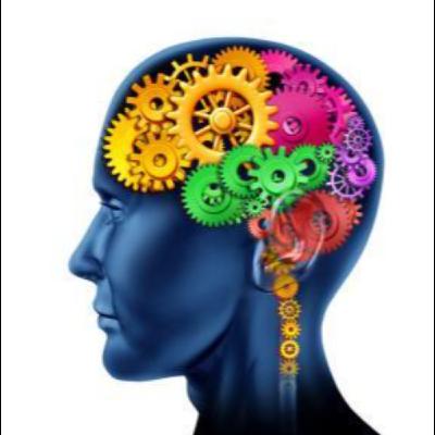Holly Stokes - The Brain Trainer